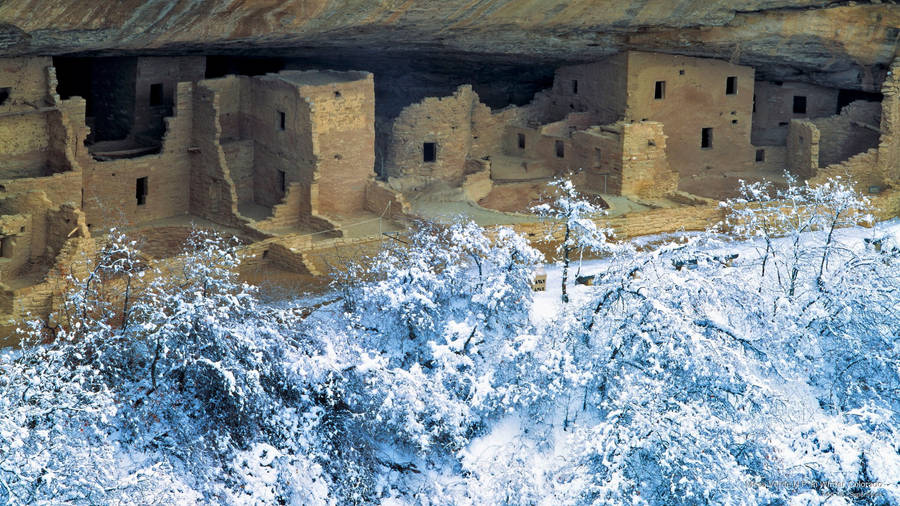 Snowy Mesa Verde Wallpaper