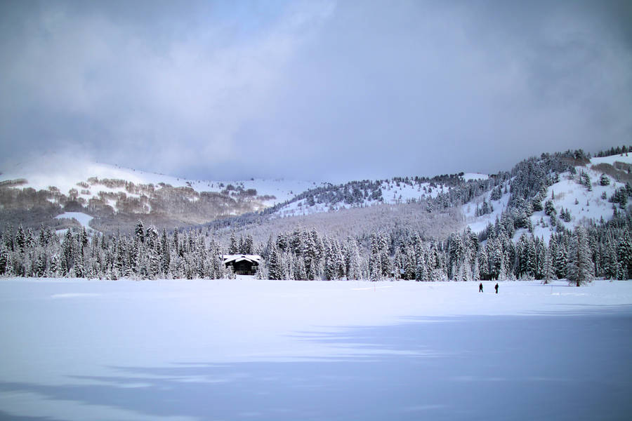 Snowy Mountain Near Nordic Forest Wallpaper