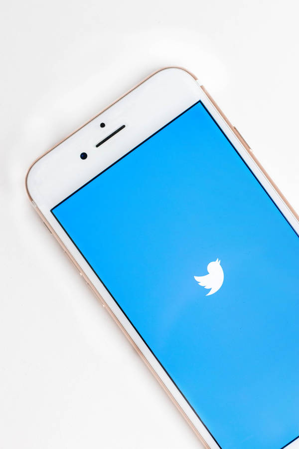 Social Media Twitter On Iphone Wallpaper