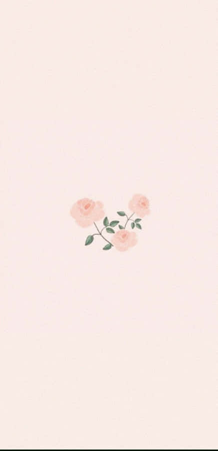 Soft Pink Roses Wallpaper