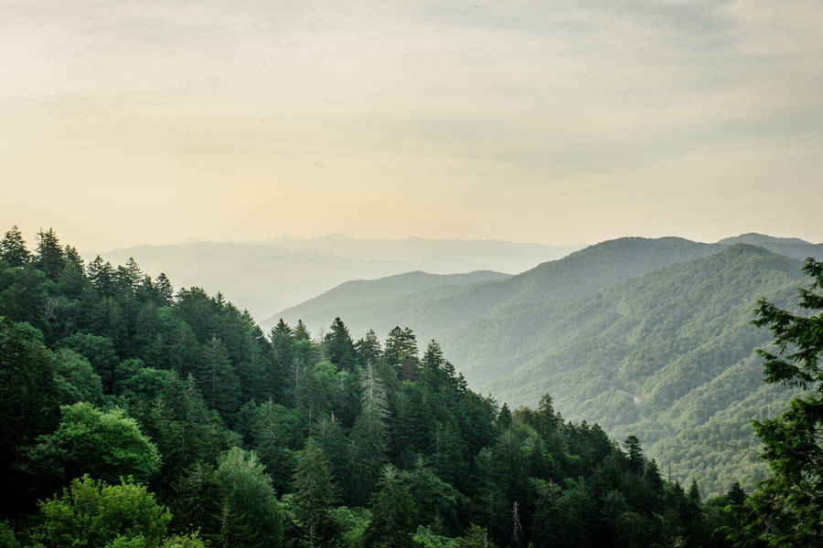 Soft Yellow Hazy Smoky Mountains Wallpaper