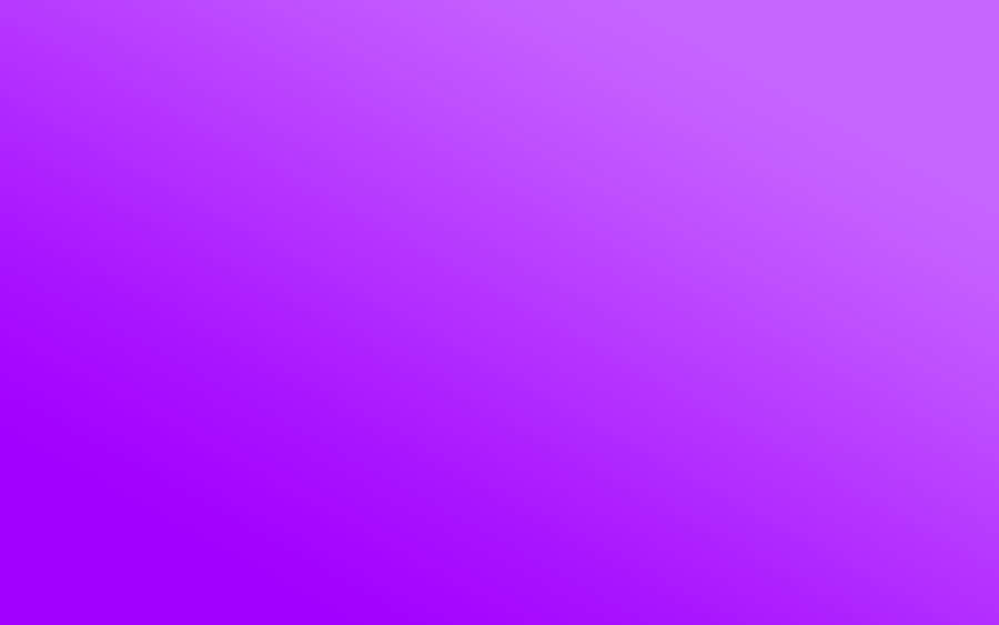Solid Background Pretty Purple Ombre Wallpaper