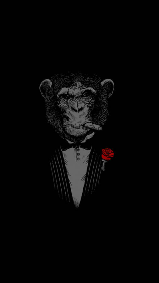 Solid Black 4k Monkey In Tuxedo Wallpaper