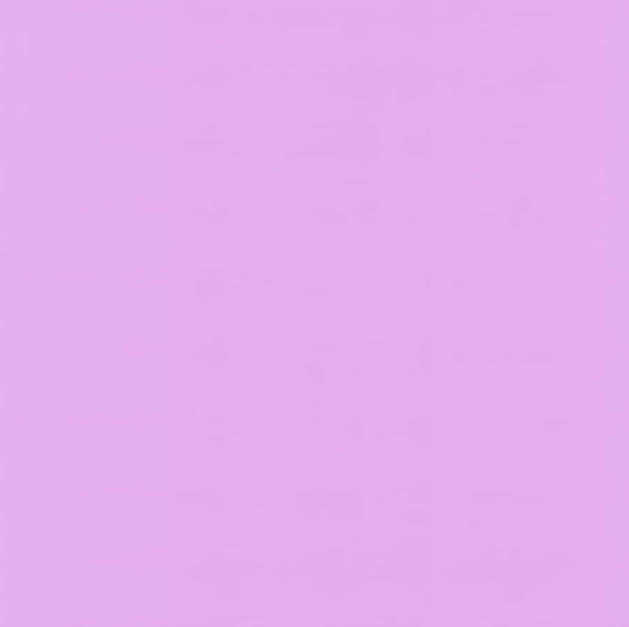 Solid Light Purple For Tablet Wallpaper