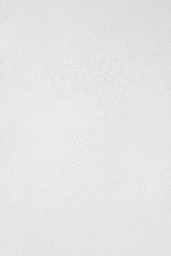 Solid White Gray Wallpaper
