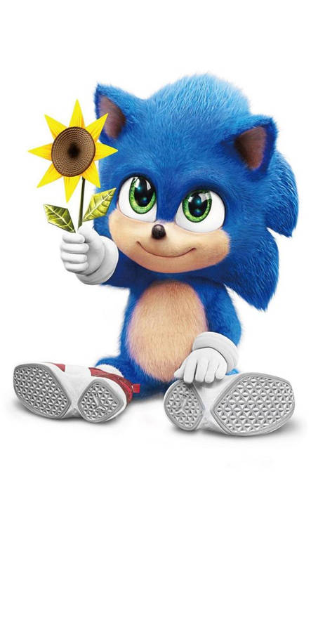 Sonic_ Holding_ Sunflower_ Pfp.jpg Wallpaper