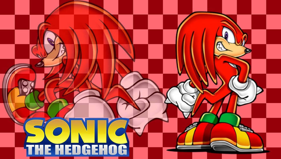 Sonic Knuckles The Echidna Wallpaper