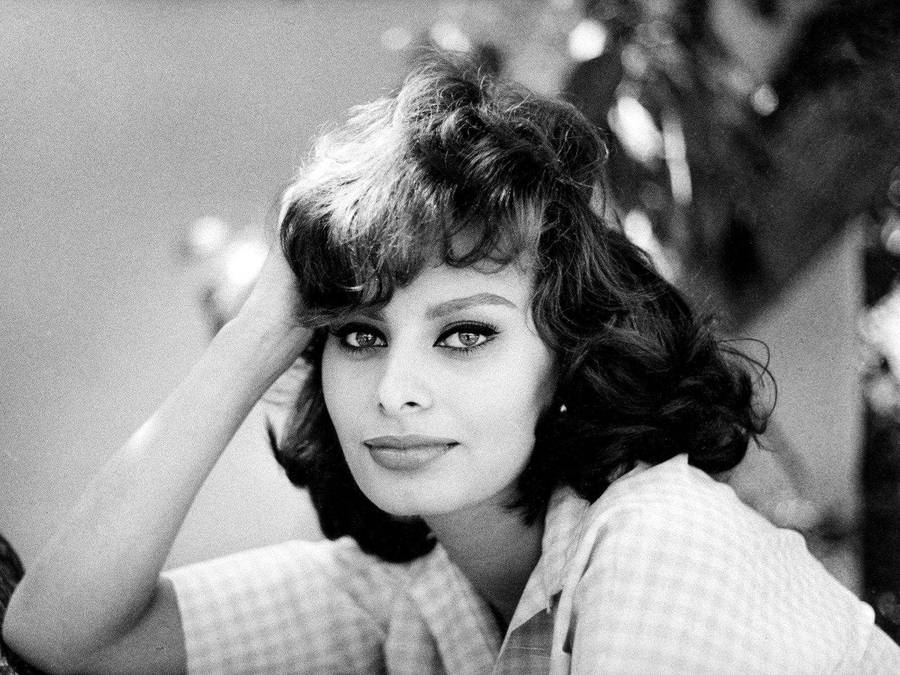 Sophia Loren Garden Photoshoot Wallpaper