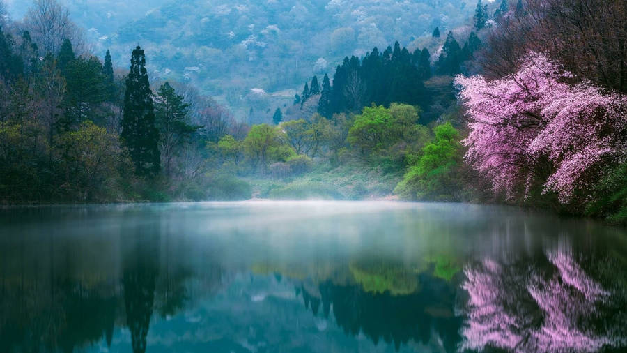 South Korea Hd Lake Landscape Wallpaper