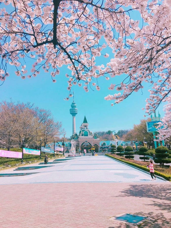 South Korea Namsan Tower Wallpaper