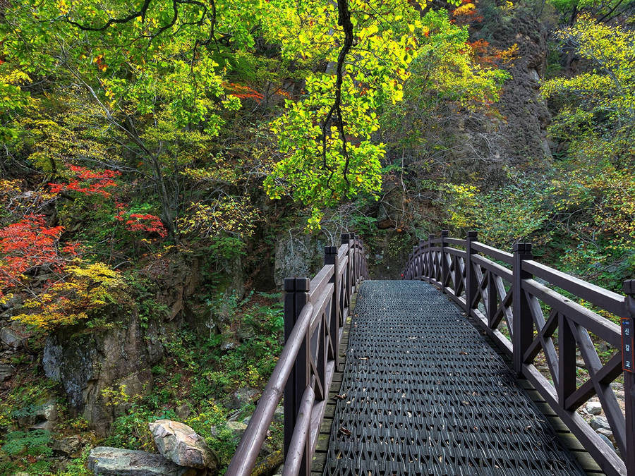 South Korea Seoraksan National Park Wallpaper