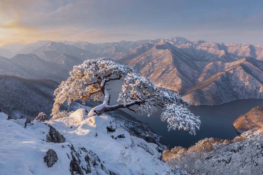 South Korea Snow Wallpaper