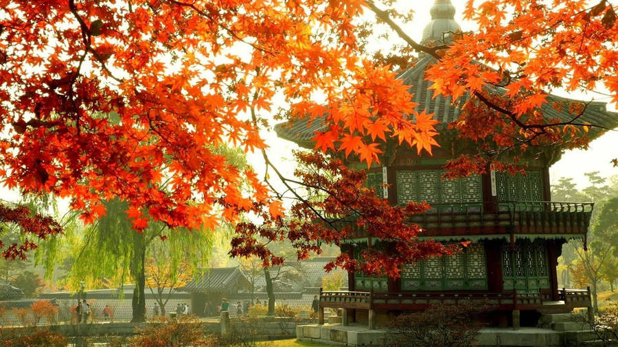 South Korean Palace Wallpaper