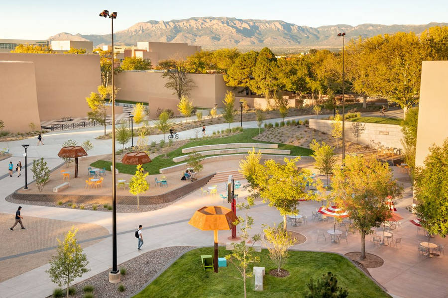 Spacious Smith Plaza At The University Of New Mexico. Wallpaper