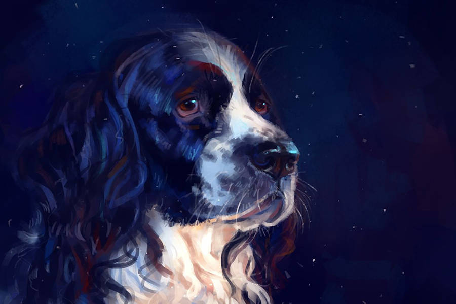 Spaniel Dog Art Wallpaper