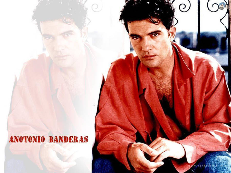 Spanish Film Director Antonio Banderas Wallpaper