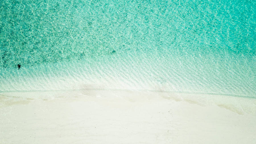 Sparkly Waters White Beach Wallpaper