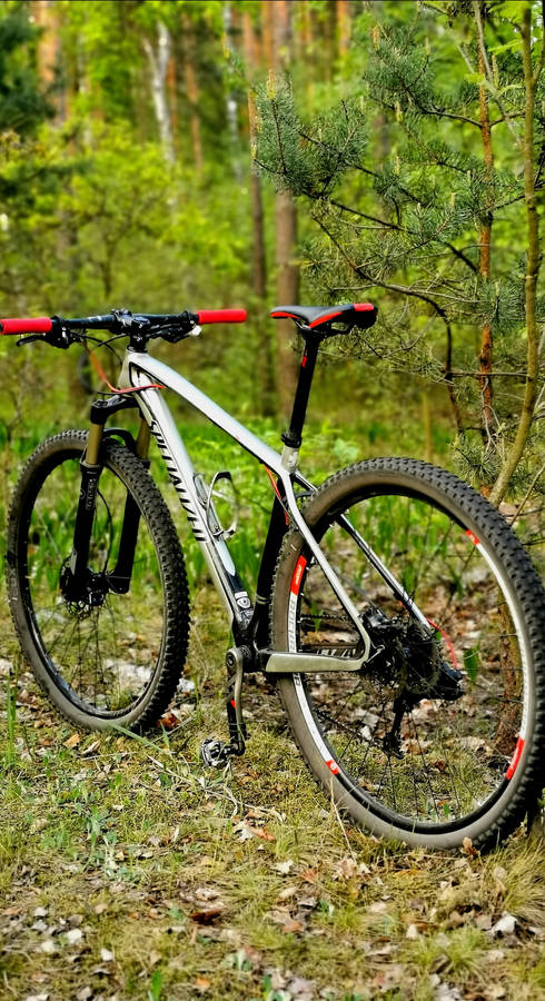 Specialized Silver Mountain Bike Wallpaper