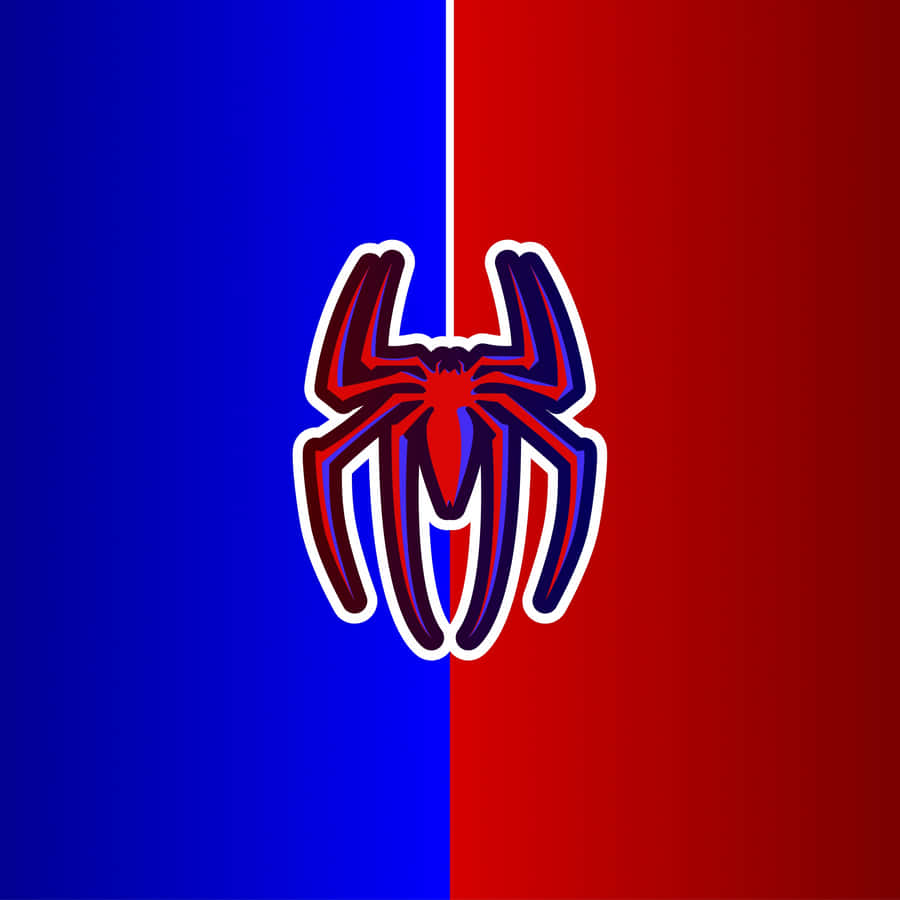 Spider Man Logo 2560 X 2560 Wallpaper