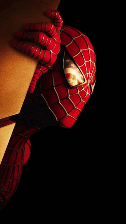 Spider Man Sunlight Mobile Wallpaper