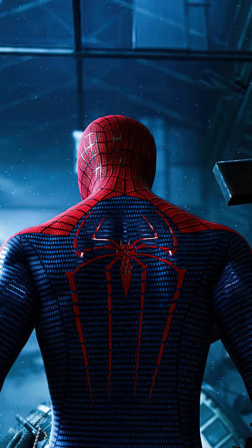 Spiderman Back Hd Phone Wallpaper