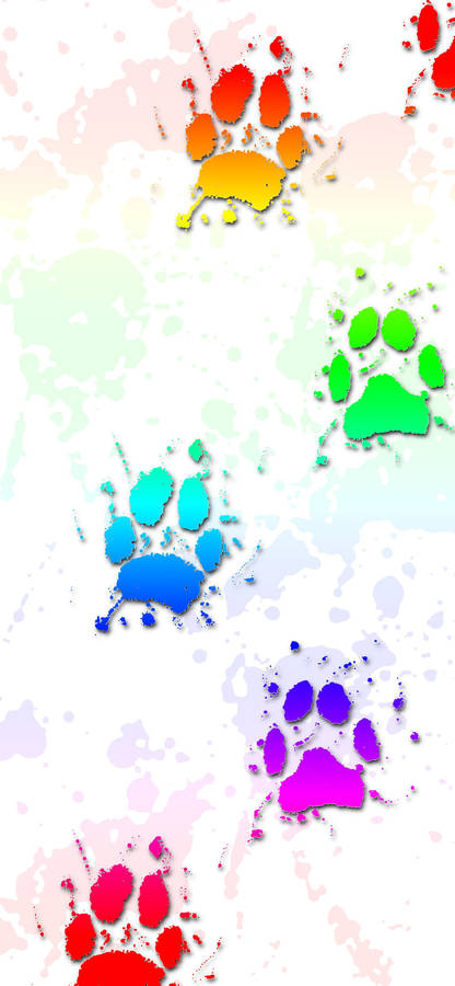 Splatter Paint Dog Paws Wallpaper