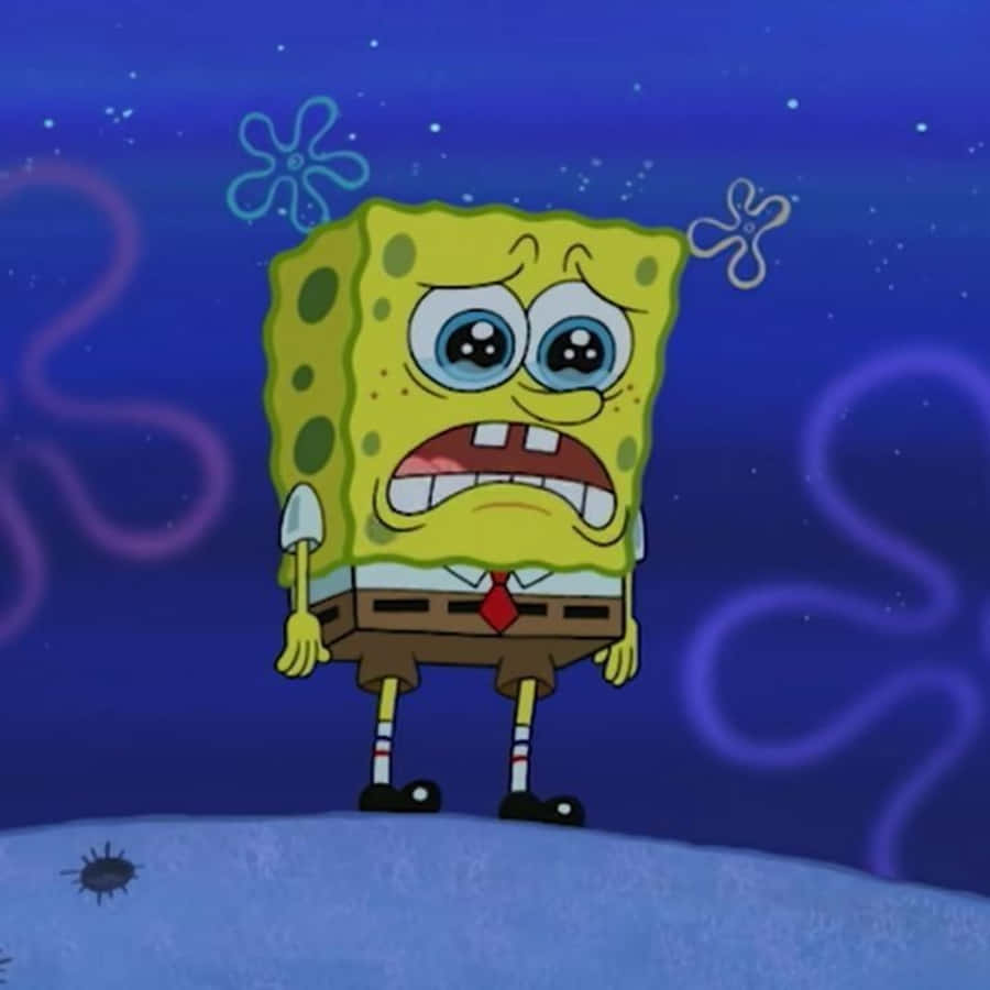 Spongebob Crying And Looking Down Wallpaper