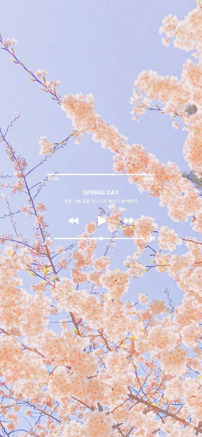 Spring Aesthetic Playlist Wallpaper