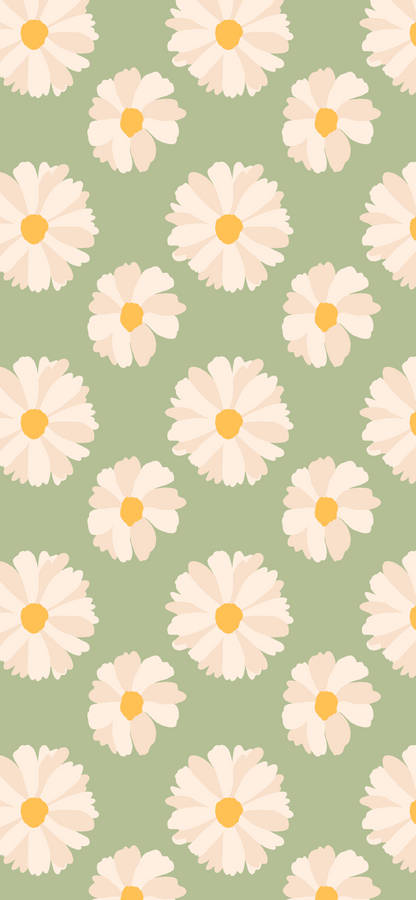 Spring Iphone Daisies Green Wallpaper