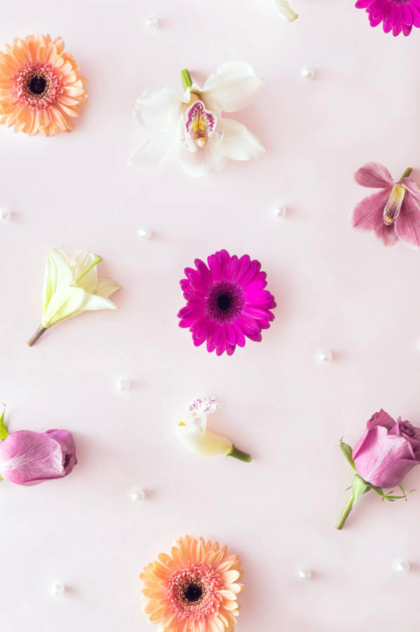 Spring Iphone Pink Flowers Flat Lay Wallpaper