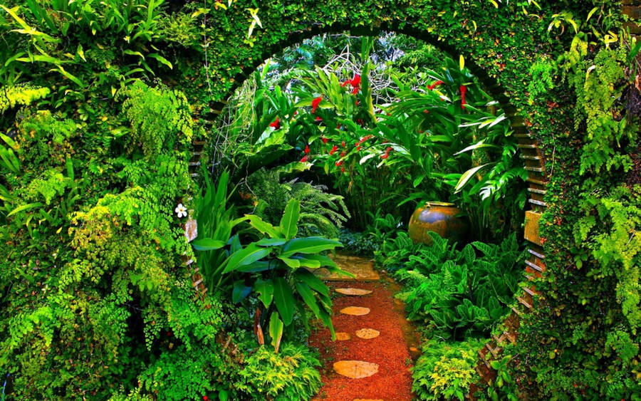 Sri Lanka Brief Garden Path Wallpaper