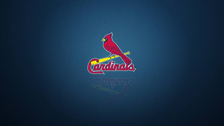 St Louis Cardinals One Red Bird Wallpaper