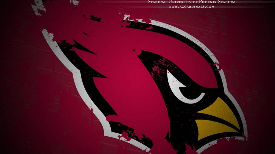 St Louis Cardinals Team Bird Logo Wallpaper