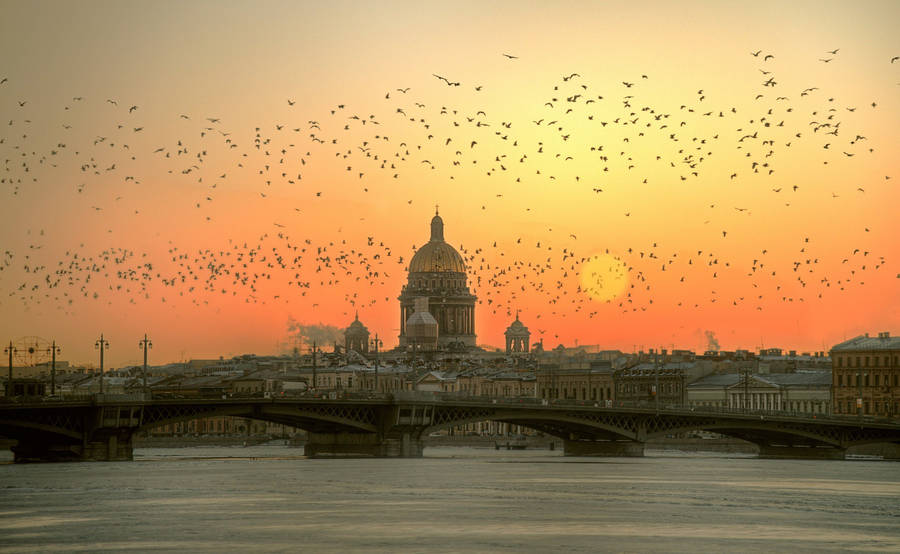 St. Petersburg Russia In Sunset Wallpaper