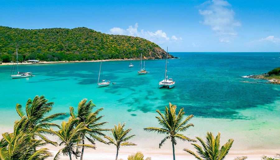 St Vincent And The Grenadines Boats Sailing Wallpaper