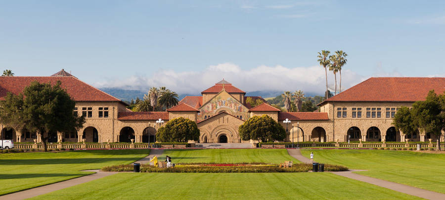 Stanford University Vast Oval Wallpaper