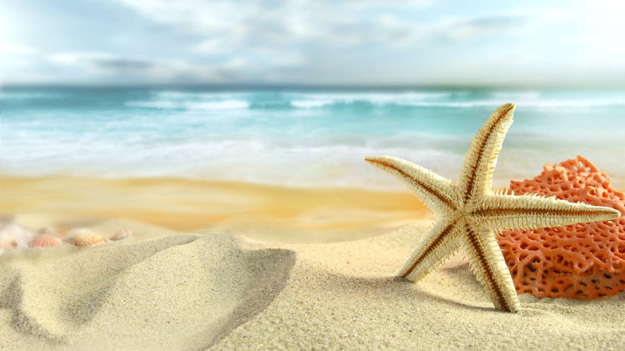 Starfish In White Beach Wallpaper