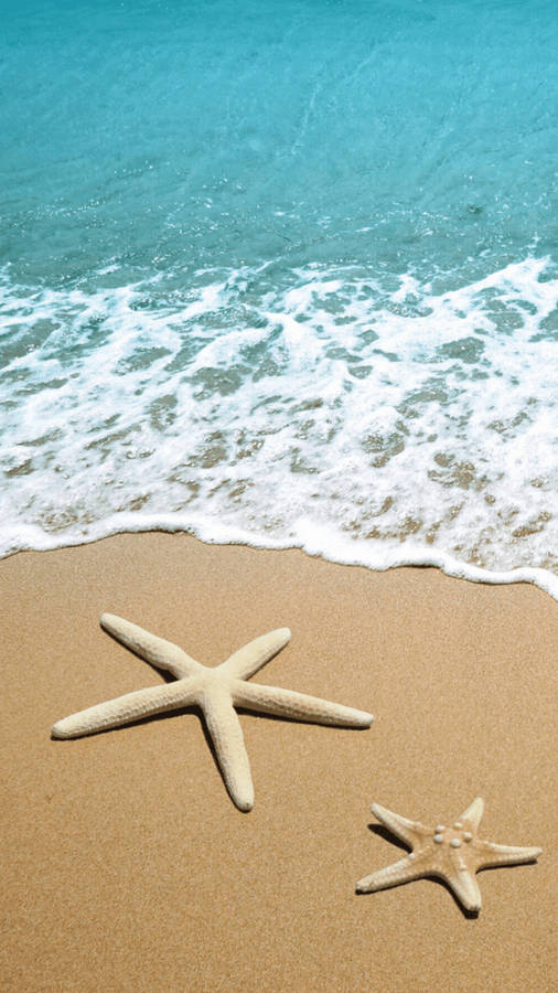 Starfish On Beach Summer Iphone Wallpaper