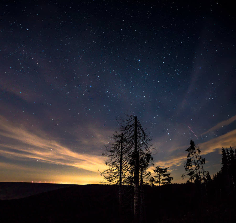 Starry Night And Golden Horizon Wallpaper