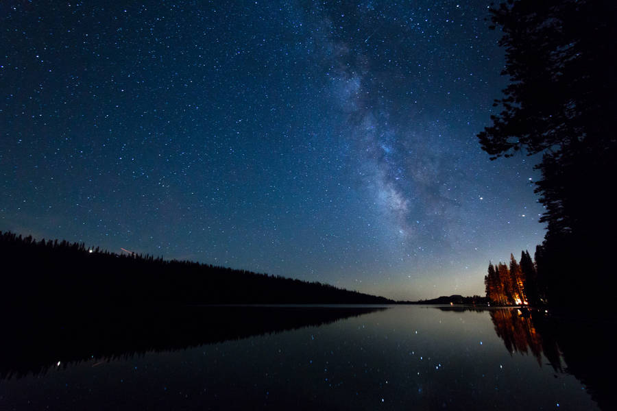 Starry Night And Majestic Woodland Wallpaper