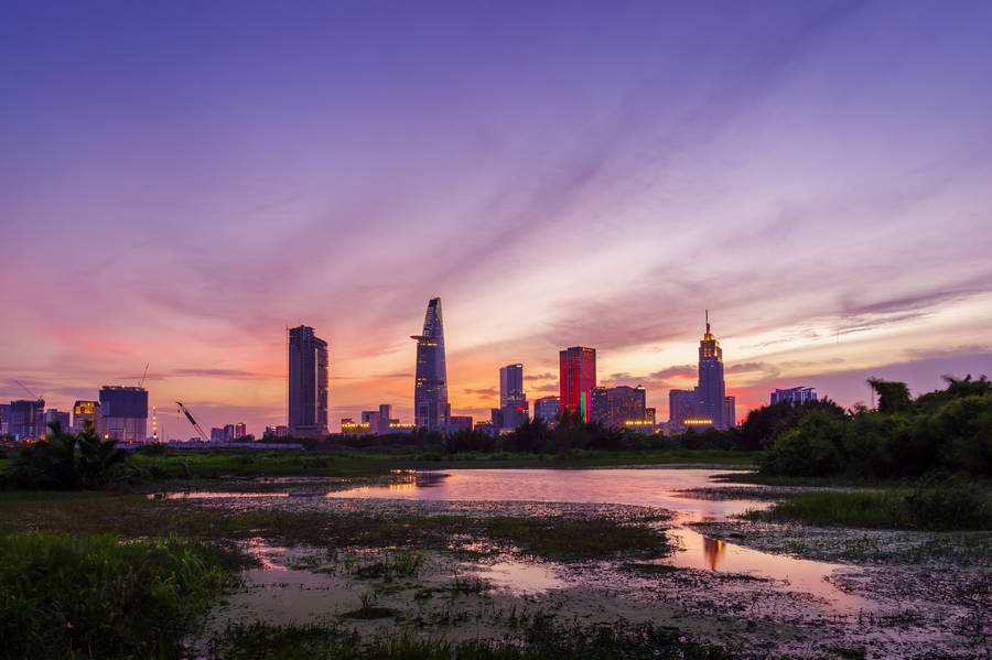 Startling Ecosystem Of Vietnam Wetlands Wallpaper