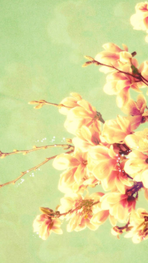 Stay Connected With This Cute Spring Phone. Wallpaper