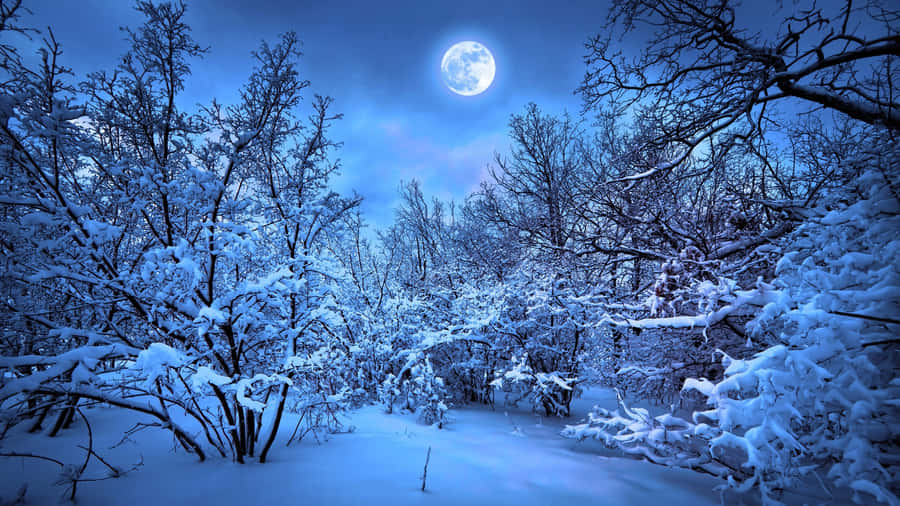 Stay Productive During Winter With A Cozy Laptop Wallpaper