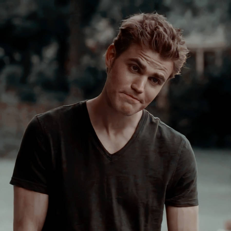 Stefan Salvatore Casual Look Wallpaper