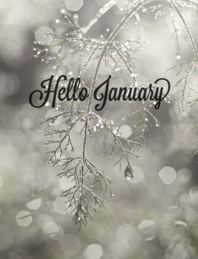 Step Into The New Year With January Phone! Wallpaper