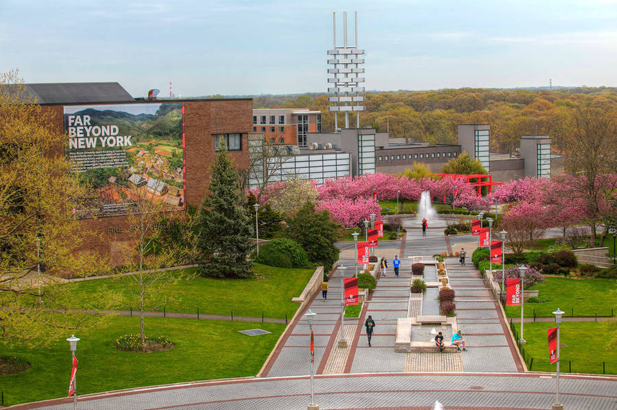 Stony Brook University Pathway Wallpaper