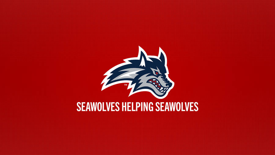 Stony Brook University Simple Seawolves Wallpaper