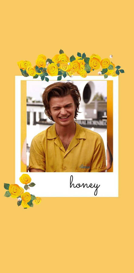 Stranger Things Adorable Steve Harrington Wallpaper