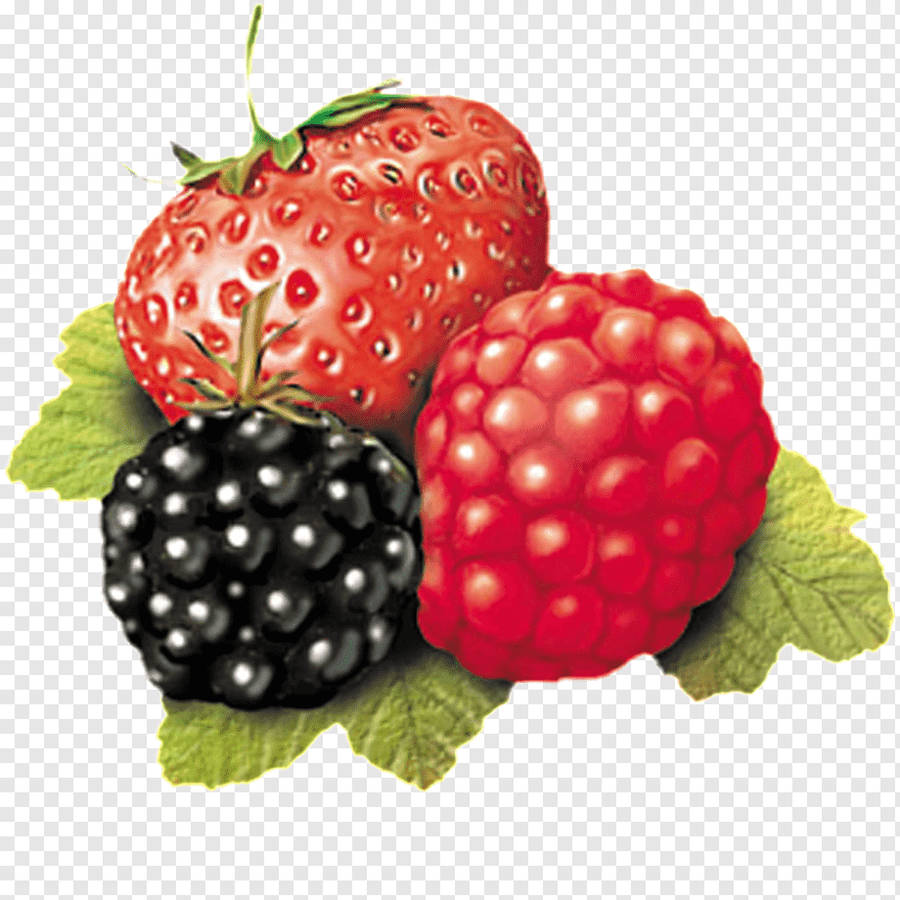 Strawberry, Raspberry, Loganberry Illustration Wallpaper