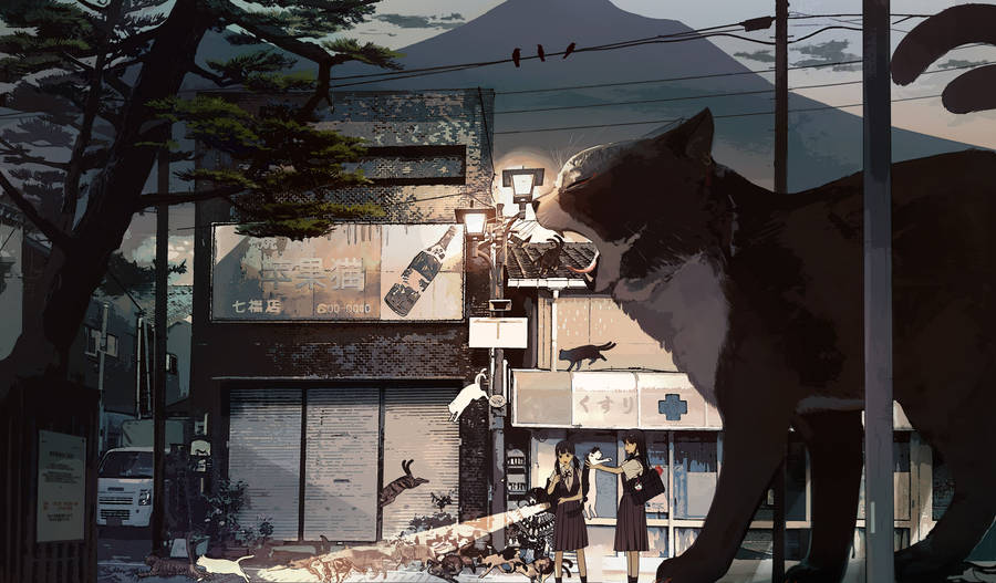 Stray Anime Cats Wallpaper